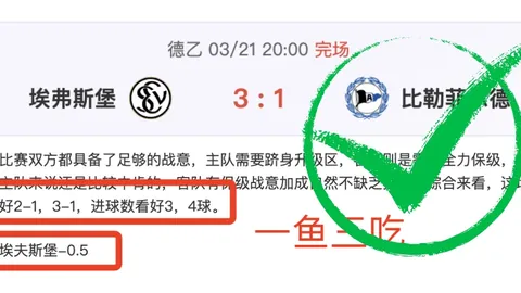 英超伯恩茅斯对布伦特福德，内含比分及专家质合推荐